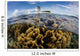 Colony Fire Corals Grows Wall Decal