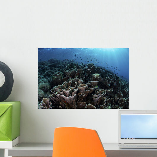 Beautiful and Fragile Coral Landscape Wall Decal