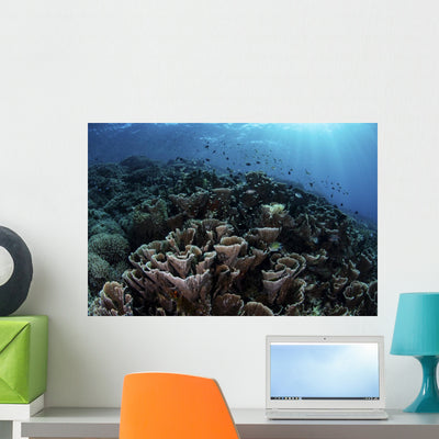 Beautiful and Fragile Coral Landscape Wall Decal shown on a wall