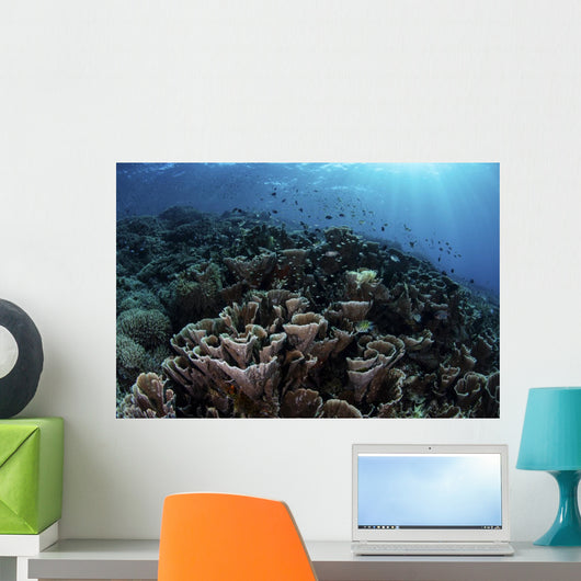 Beautiful and Fragile Coral Landscape Wall Decal