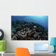 Beautiful and Fragile Coral Landscape Wall Decal