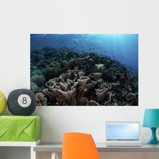 Beautiful and Fragile Coral Landscape Wall Decal