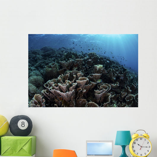 Beautiful and Fragile Coral Landscape Wall Decal