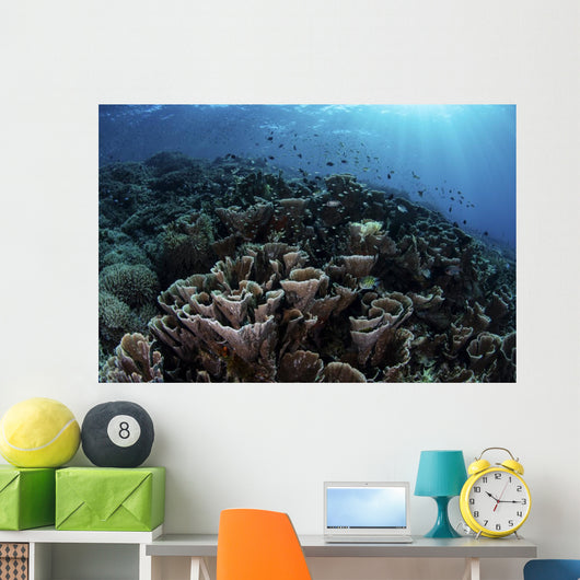 Beautiful and Fragile Coral Landscape Wall Decal