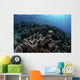 Beautiful and Fragile Coral Landscape Wall Decal