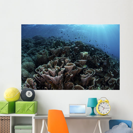 Beautiful and Fragile Coral Landscape Wall Decal