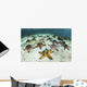 Chocolate Chip Starfish Cling Landscape Wall Decal