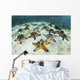 Chocolate Chip Starfish Cling Landscape Wall Decal