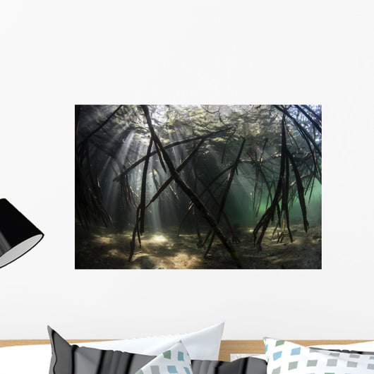 Bright Sunbeams Filter Plant Close-up Wall Decal