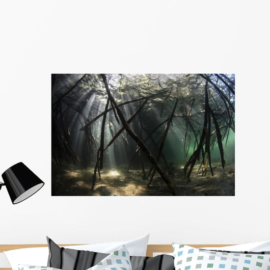 Bright Sunbeams Filter Plant Close-up Wall Decal