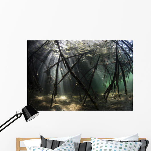 Bright Sunbeams Filter Plant Close-up Wall Decal