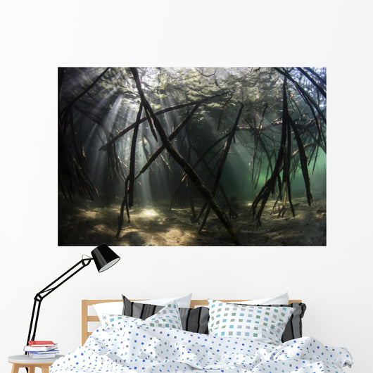 Bright Sunbeams Filter Plant Close-up Wall Decal