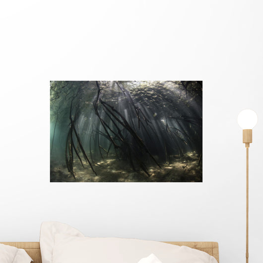 Bright Sunbeams Filter Swaying Plants Wall Decal