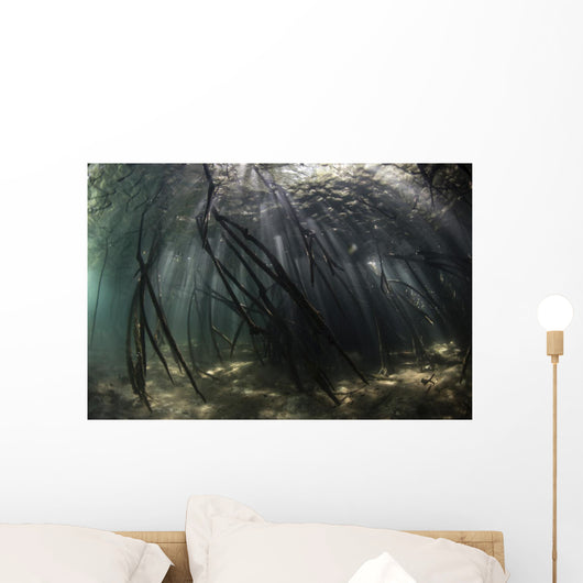 Bright Sunbeams Filter Swaying Plants Wall Decal