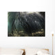 Bright Sunbeams Filter Swaying Plants Wall Decal