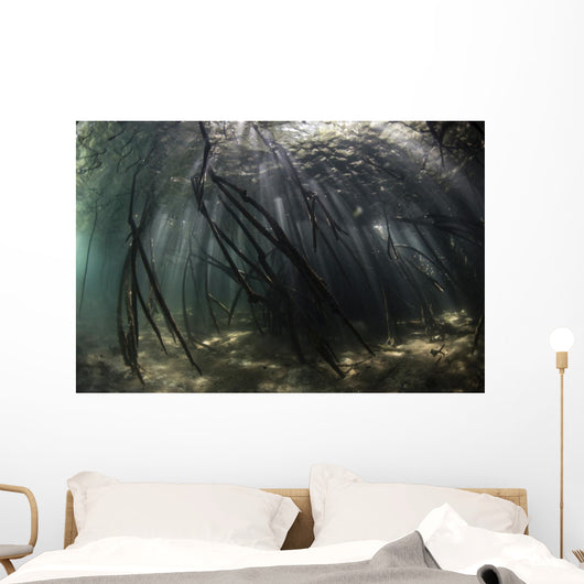 Bright Sunbeams Filter Swaying Plants Wall Decal