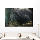Bright Sunbeams Filter Swaying Plants Wall Decal