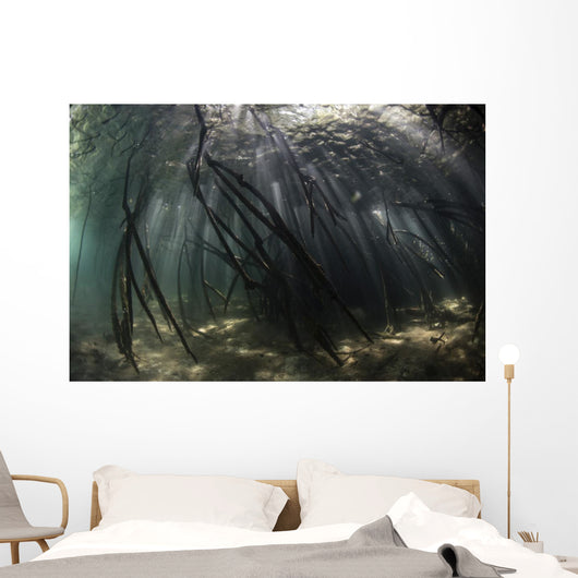 Bright Sunbeams Filter Swaying Plants Wall Decal