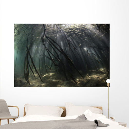 Bright Sunbeams Filter Swaying Plants Wall Decal