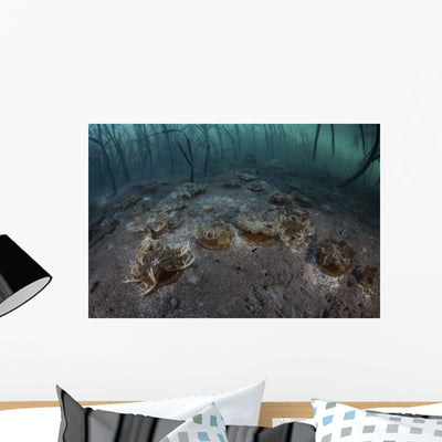 Upside-down Jellyfish Lay Seafloor Murky Wall Decal shown on a wall