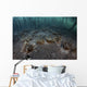 Upside-down Jellyfish Lay Seafloor Murky Wall Decal