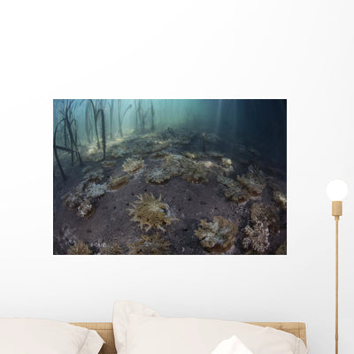 Upside-down Jellyfish Lay Seafloor Wall Decal shown on a wall