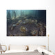 Upside-down Jellyfish Lay Seafloor Wall Decal