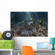 Upside-down Jellyfish Lay Seafloor Wide Shot Wall Decal