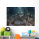 Upside-down Jellyfish Lay Seafloor Wide Shot Wall Decal