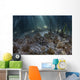 Upside-down Jellyfish Lay Seafloor Wide Shot Wall Decal