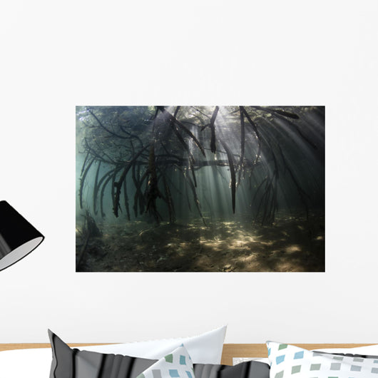 Bright Sunbeams Filter Light Wall Decal