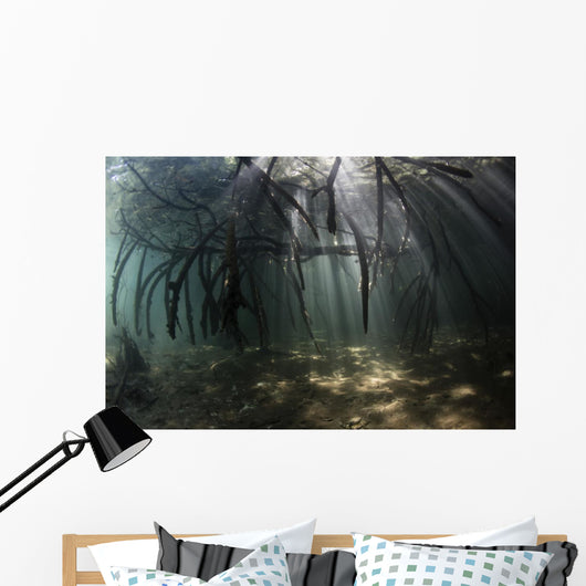 Bright Sunbeams Filter Light Wall Decal