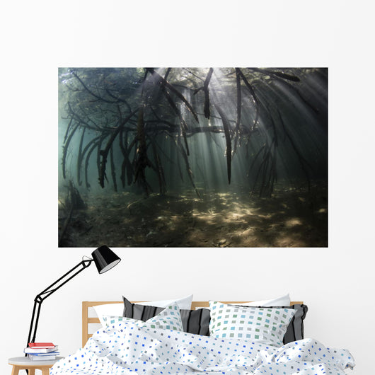Bright Sunbeams Filter Light Wall Decal