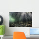 Bright Sunbeams Filter Wide Shot Wall Decal