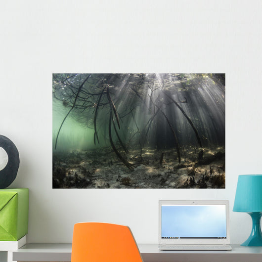Bright Sunbeams Filter Wide Shot Wall Decal