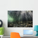 Bright Sunbeams Filter Wide Shot Wall Decal