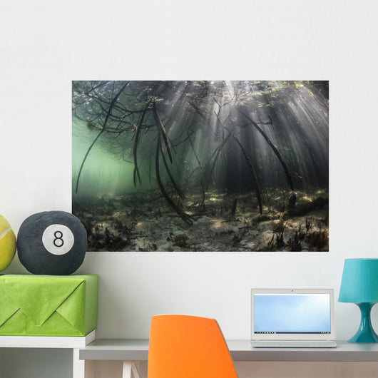 Bright Sunbeams Filter Wide Shot Wall Decal