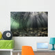 Bright Sunbeams Filter Wide Shot Wall Decal