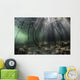 Bright Sunbeams Filter Wide Shot Wall Decal
