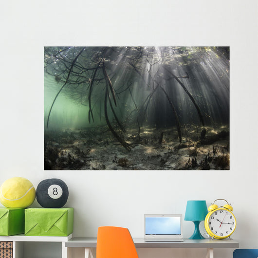 Bright Sunbeams Filter Wide Shot Wall Decal