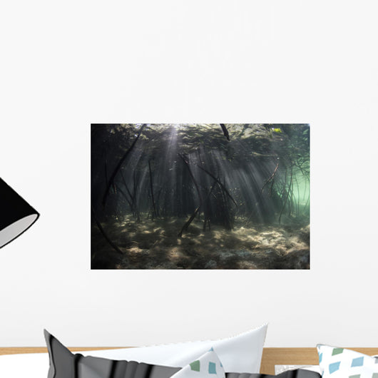 Bright Sunbeams Filter Murky Wall Decal