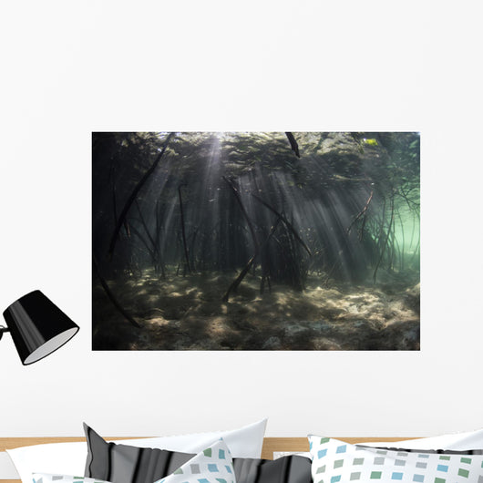 Bright Sunbeams Filter Murky Wall Decal