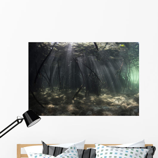 Bright Sunbeams Filter Murky Wall Decal