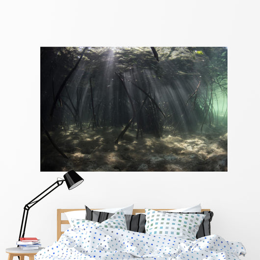 Bright Sunbeams Filter Murky Wall Decal