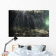 Bright Sunbeams Filter Murky Wall Decal