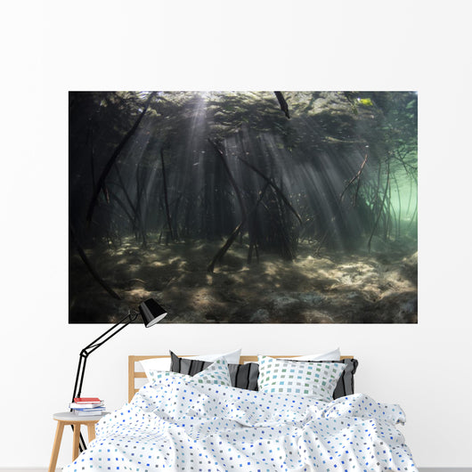 Bright Sunbeams Filter Murky Wall Decal