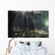 Bright Sunbeams Filter Murky Wall Decal