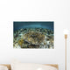Whitetail Damselfish Swim over Wall Decal