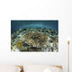 Whitetail Damselfish Swim over Wall Decal