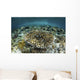 Whitetail Damselfish Swim over Wall Decal